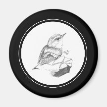 Wren Magnet in pencil