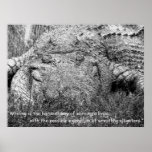 Wrestling Alligators posters