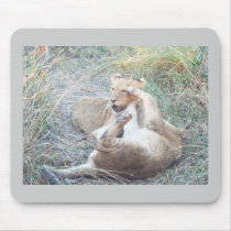 Wrestling lion cubs mousepads