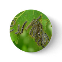 wriggling caterpillars buttons