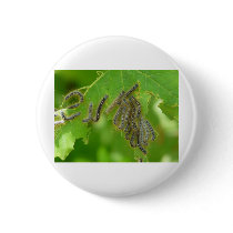 wriggling caterpillars buttons