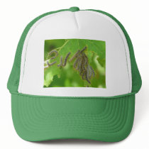 wriggling caterpillars hats