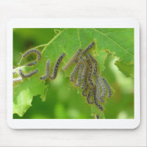 wriggling caterpillars mousepads
