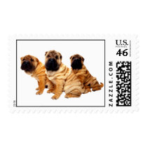 Wrinkles Are Beautiful Postage Stamp