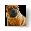 Wrinkles, The Chinese Shar Pei Puppy Dog buttons by KahunaLuna Wrinkles, The Chinese Shar Pei Puppy Dog buttons