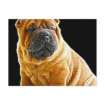 Wrinkles, The Chinese Shar Pei Puppy Dog postcards by KahunaLuna Wrinkles, The Chinese Shar Pei Puppy Dog postcards