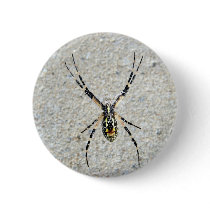 Writing Spider Button