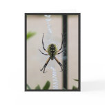 Writing Spider Greeting Cards