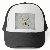 Writing Spider Hat