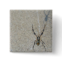 Writing Spider Sees It's Shadow Button