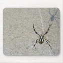 Writing Spider Sees It's Shadow Mousepad