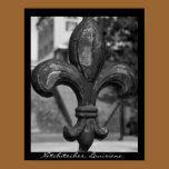 Wrought Iron Fleur de lis Poster Print posters