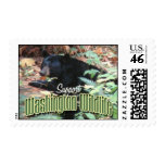 WRR Black Bear postage