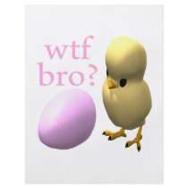 WTF Bro Flyers