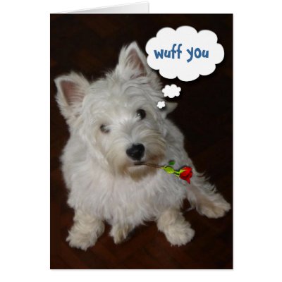 Wuff You - Happy Valentine's Day Card