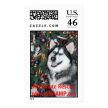 wulfgar, Malamute Rescuewww.CHAAMP.org Stamp
