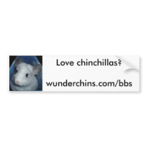 Wunderchins Bumper Sticker--Sebastian