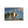 Wurdermann's Heron in funny flashing pose. Photo Greeting Card