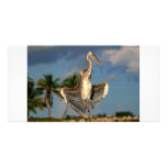 Wurdermann's Heron in funny flashing pose. Photo Greeting Card
