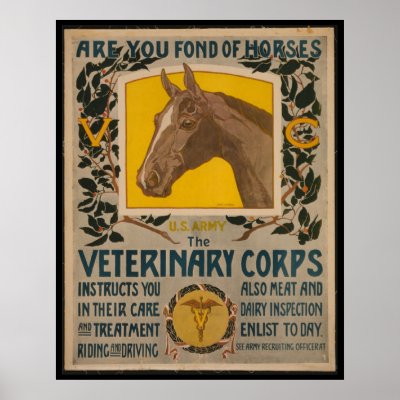 RARE WWI Vintage Army Vet Corps Recruitment POSTER !