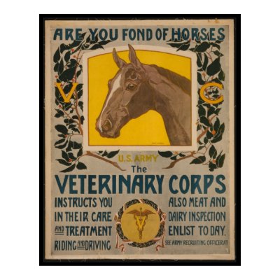 RARE WWI Vintage Army Vet Corps Recruitment POSTER !