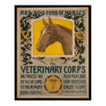 WW1 VINTAGE Vet. Corps POSTER