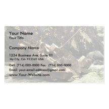 WW II Landing Craft Wreck on Amchitka Island Business Card Templates