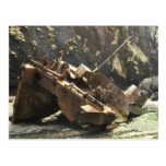 WW II Landing Craft Wreck on Amchitka Island Post Cards
