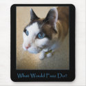 WWFD? Mousepad