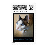 WWFD Stamp