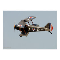 WWI Biplane posters