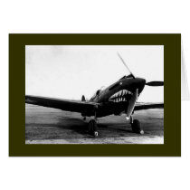WWII Flying Tigers Curtiss P-40 Fighter Plane cards