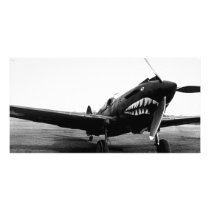 WWII Flying Tigers Curtiss P-40 Fighter Plane photo cards