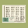 WWII Light Tank ID Chart Postcards WWII Light Tank ID Chart Postcards