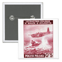 WWII Polish Air Force Pin