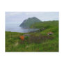 WWII Relics at Summer's Bay, Unalaska Island Post Cards