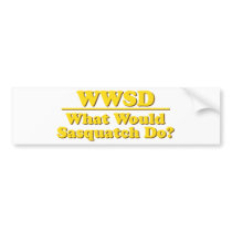 WWSD? BUMPER STICKERS