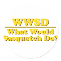 WWSD? STICKER