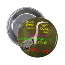 WWW.EARTHLIGHTANDCOLOR.COM buttons