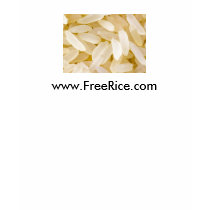 www.FreeRice.com t-shirts