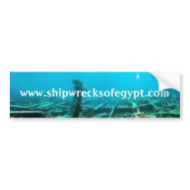 www.shipwrecksofegypt.com bumper stickers