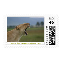 www.TheShepherdsHome.org postage