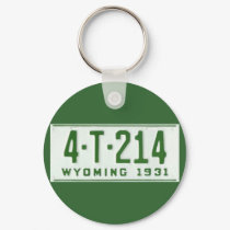 WY31T keychains