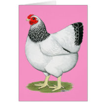 Wyandotte:  Columbian Hen Cards
