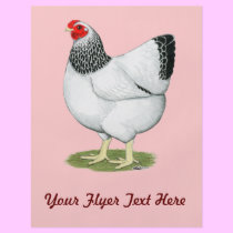 Wyandotte:  Columbian Hen flyers