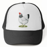 Wyandotte:  Columbian Hen hats