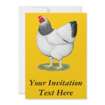 Wyandotte:  Columbian Hen Custom Invitation