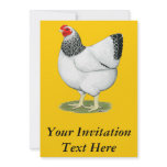 Wyandotte:  Columbian Hen Custom Invitation