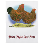 Wyandotte:  Golden-laced Pair flyers
