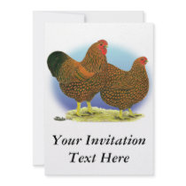 Wyandotte:  Golden-laced Pair Custom Announcements